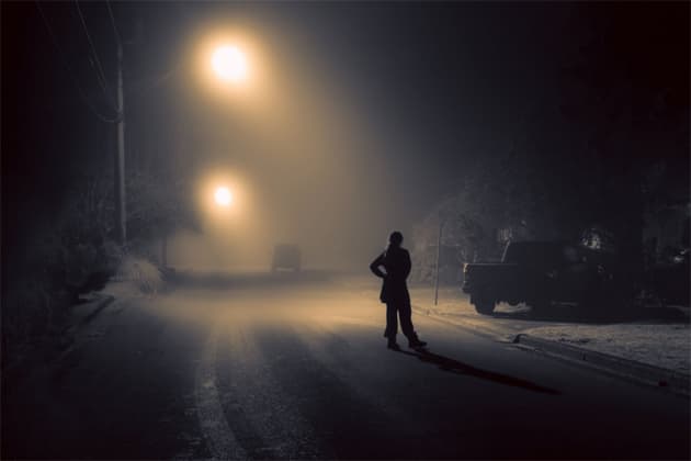 Imagery From Elizabeth Gadd