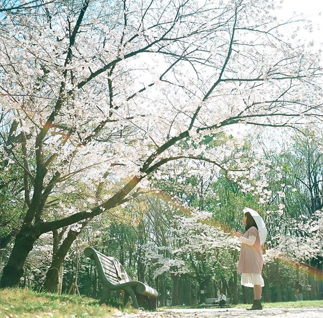 Imagery From Shinya