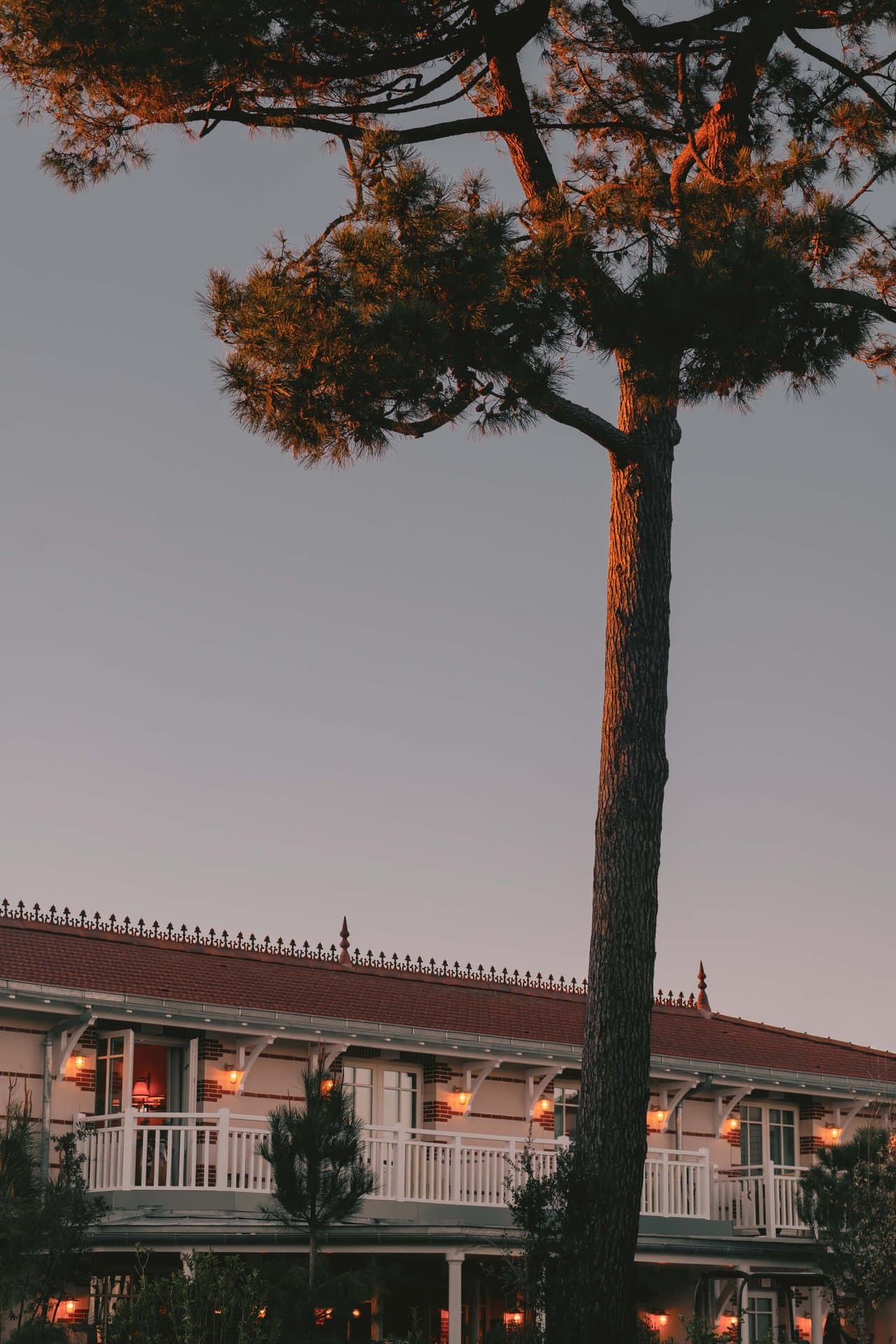 VILLA COLETTE - Hotels