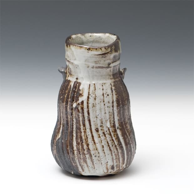 Series of Ceramics by Lisa Hammond