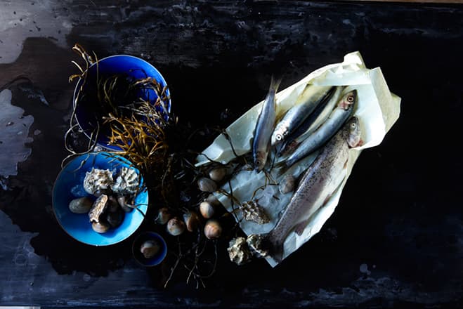 Food Photography by Gentl and Hyers