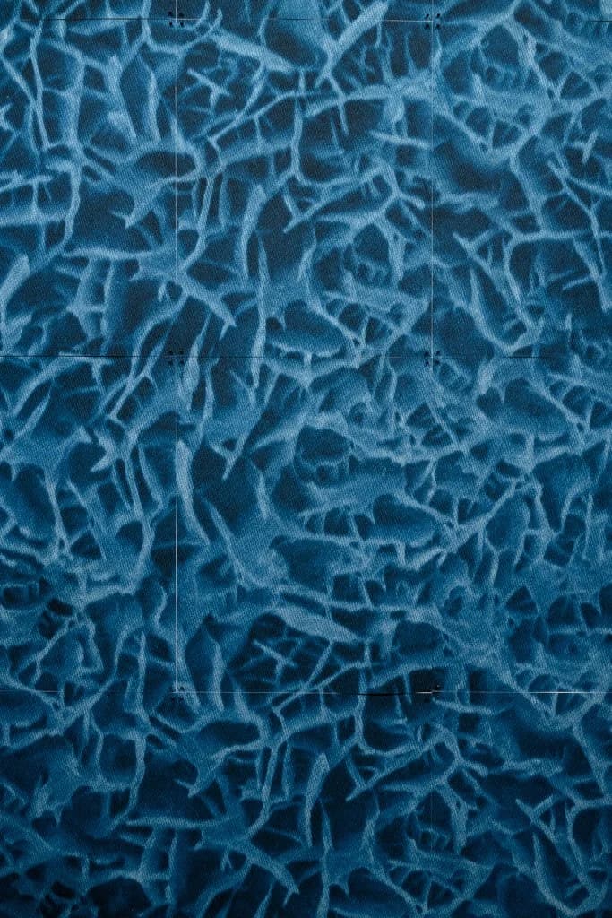 KarenZalamea_Taro_installdetail.jpg