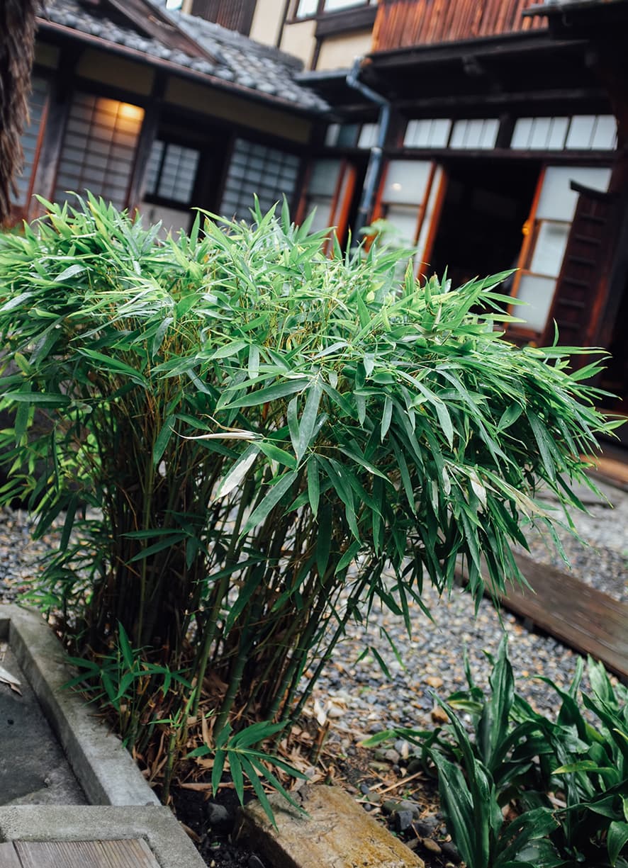 Natural Beauty – A Visit to Japanese Potter Kawai Kanjiro’s House in Kyoto — photograph 14