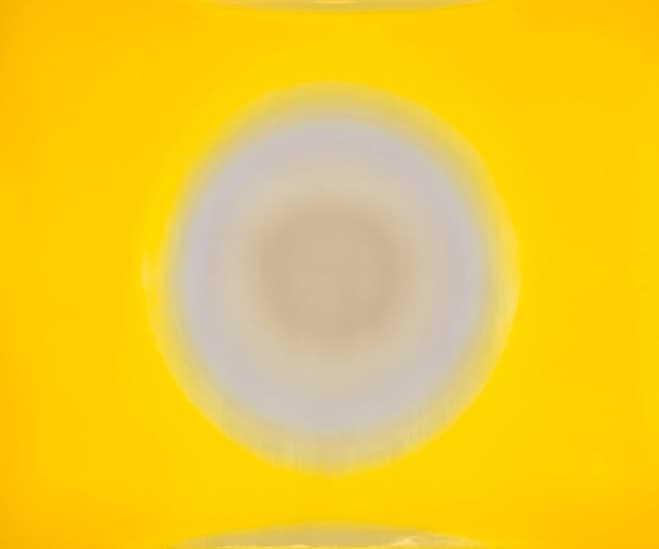 The Impact of Colour – Light Sensitive Pictures by Garry Fabian Miller — artwork detail 3