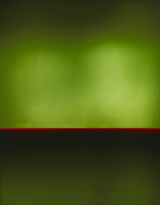 The Impact of Colour – Light Sensitive Pictures by Garry Fabian Miller — artwork detail 5