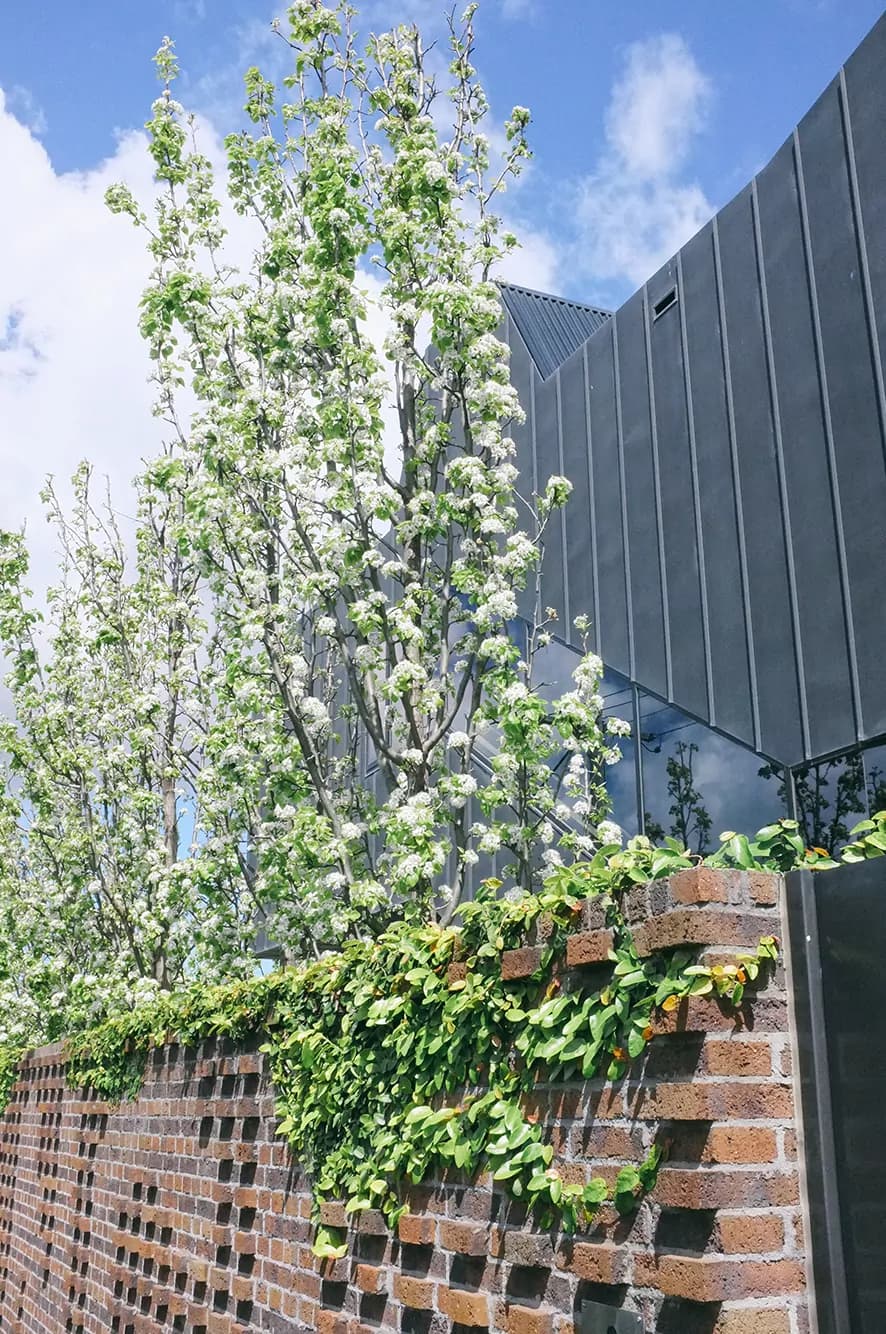 Fusing Art & Architecture – A Visit to Lyon Housemuseum in Melbourne, Australia