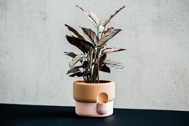 Used In Combination – Vessels by Norwegian Designer Ann Kristin Einarsen — design detail 2