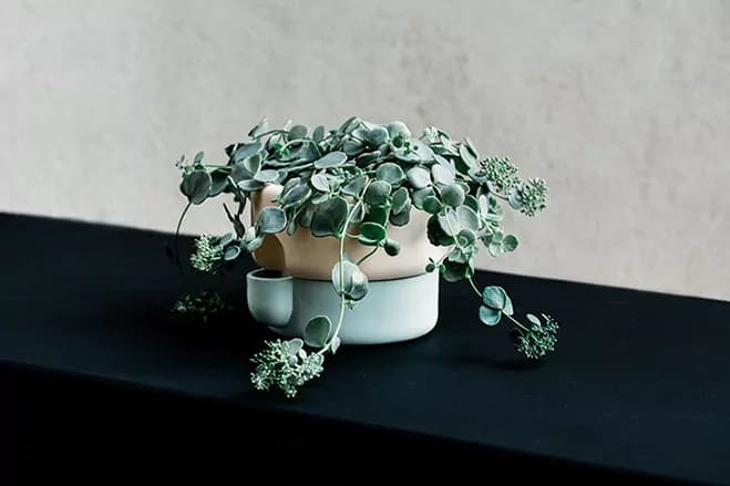 Used In Combination – Vessels by Norwegian Designer Ann Kristin Einarsen — design detail 3