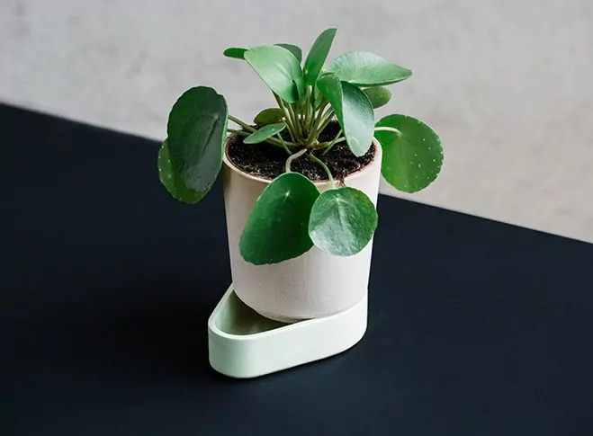 Used In Combination – Vessels by Norwegian Designer Ann Kristin Einarsen — design detail 8