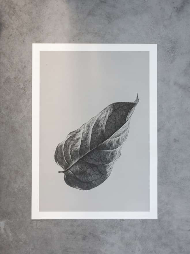 Expressions of Time Frozen – Sabi Leaf Prints by Norm Architects
