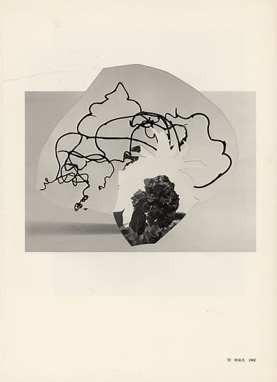 Leigh Wells, collage, portrait, works on paper, art, contemporary art, female artists, San Francisco artist, ikebana, photocollage, vintage ikebana