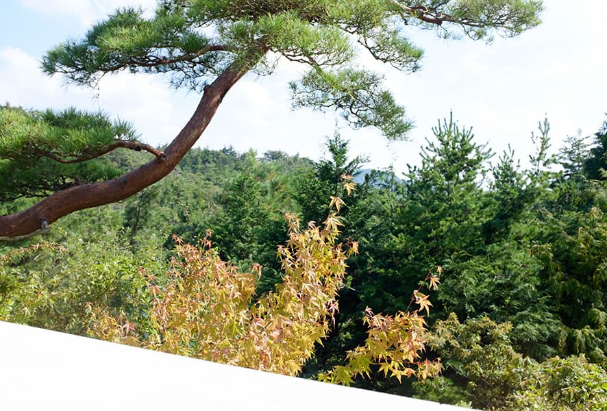 Garden in the Sky – A Visit to Miho Museum in Shigaraki, Shiga Prefecture, Japan — architectural view 16