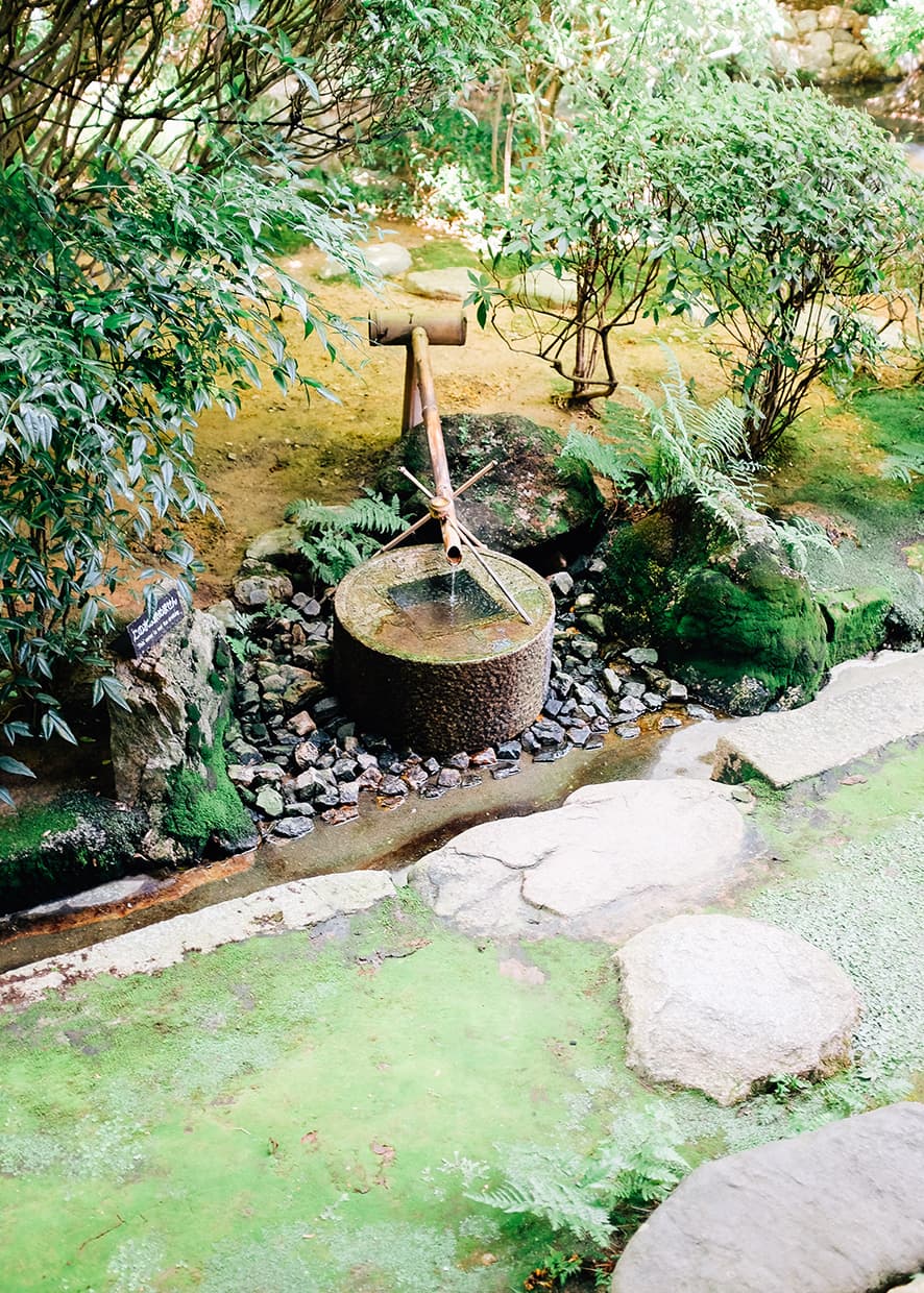 Natural Objects in a Space – A Visit to Ryoanji Temple in Kyoto, Japan — photograph 8