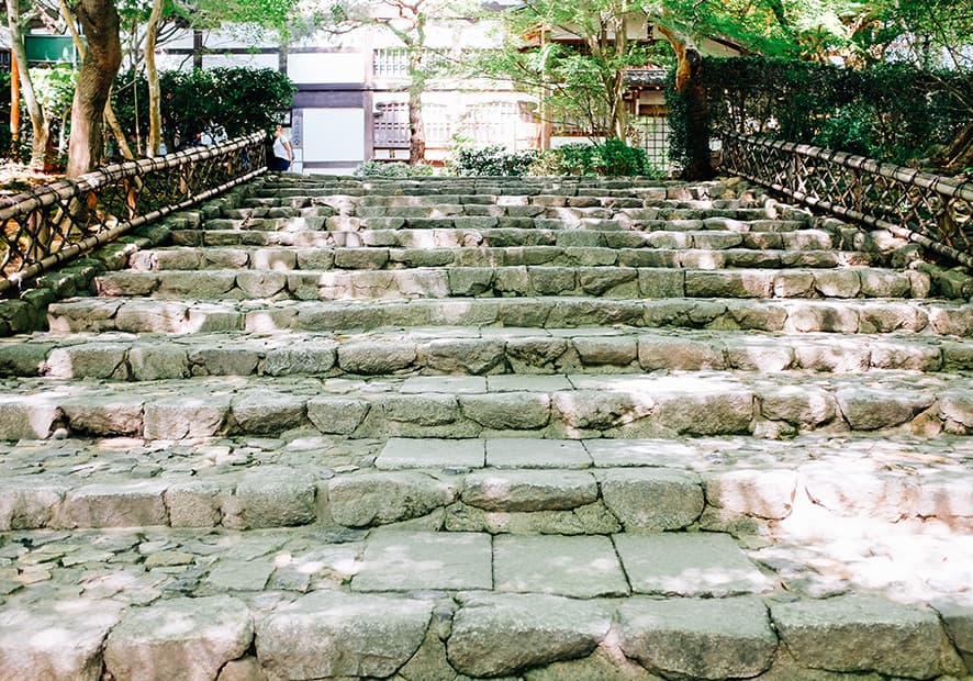 Natural Objects in a Space – A Visit to Ryoanji Temple in Kyoto, Japan — photograph 9