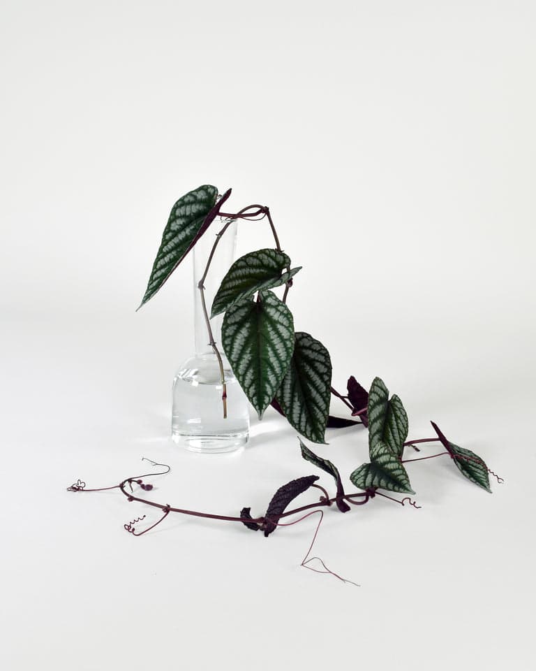The Utility of Things – Gather Vases by Product Designer Sam Anderson