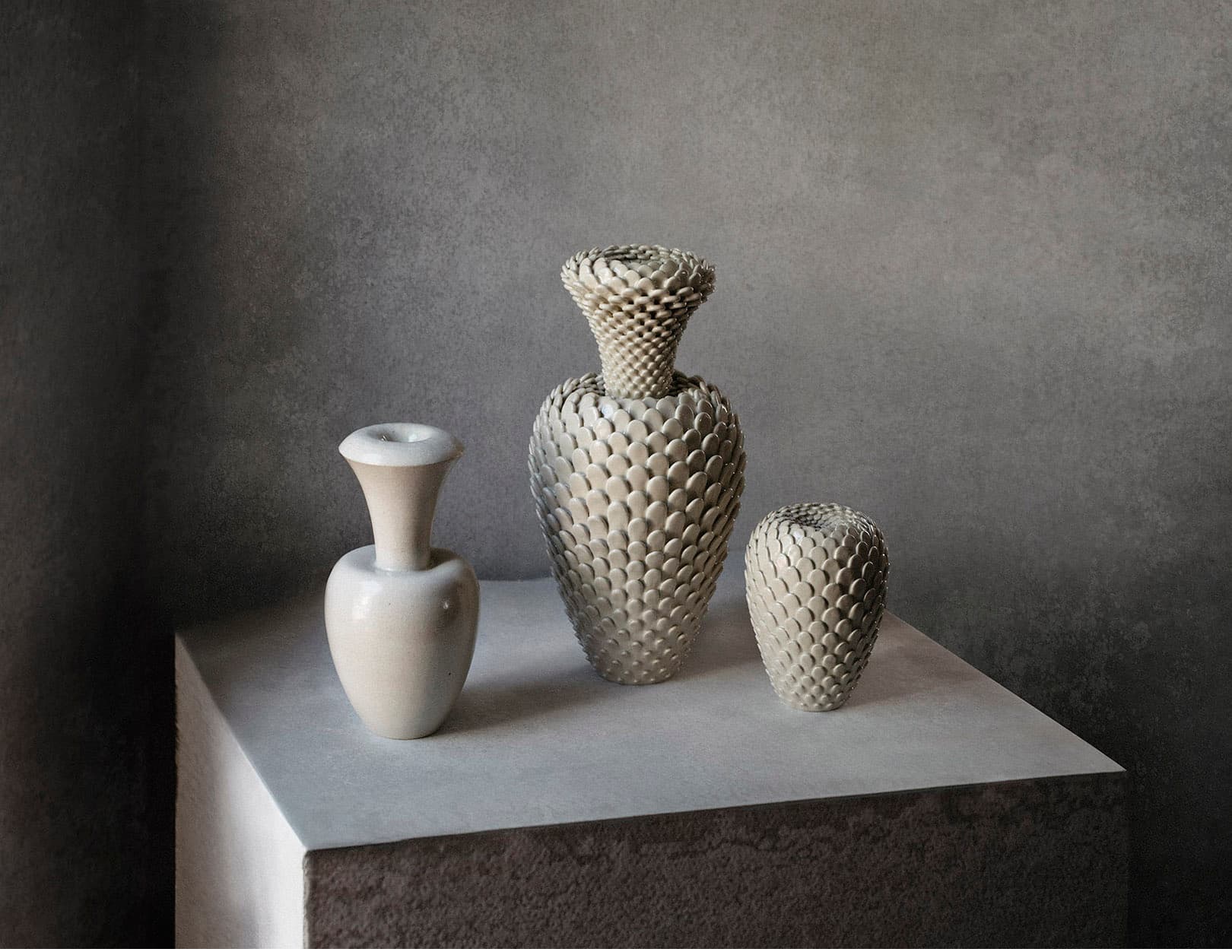 Meditation on Botanical Forms – Topiaries Series by Nicolette Johnson