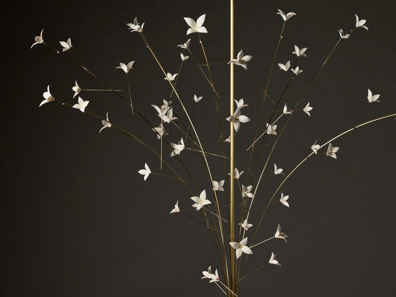 Fantastical Abstraction – Dust & Nana Lure by Pelle Designs