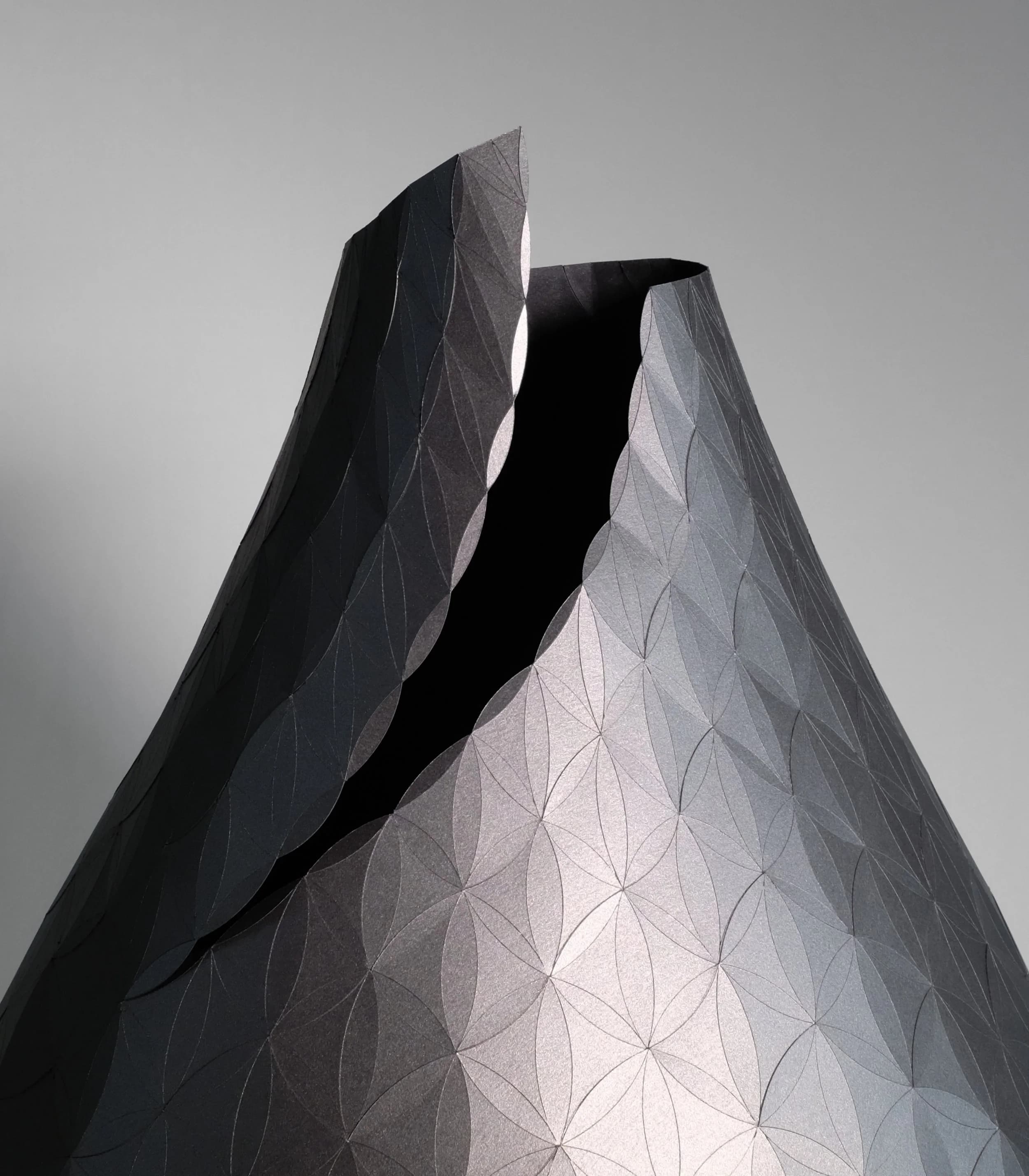 Unfolding Curiosity – Paper Sculptures by Artist Matt Shlian