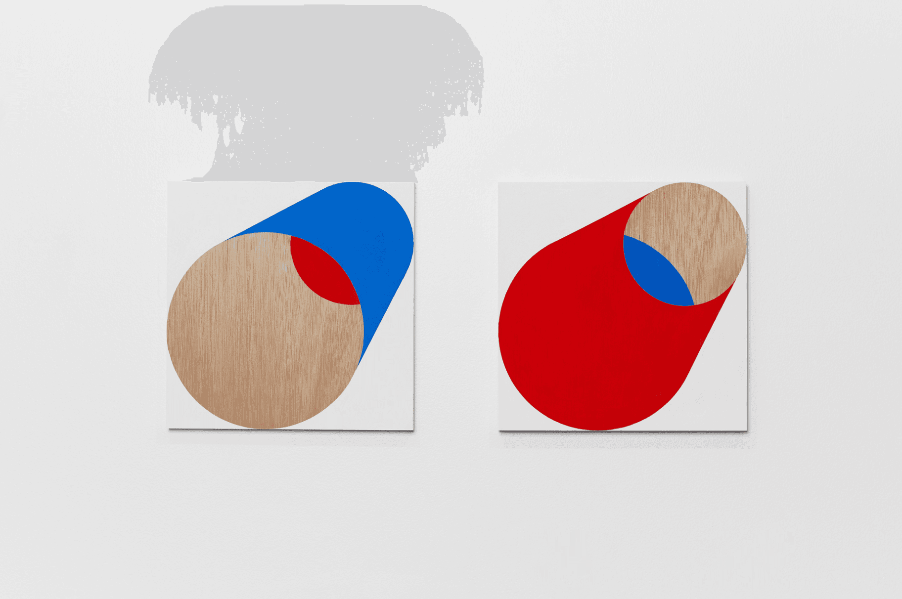 Opposites Attract – A Study of Blue and Red by Haruka Aramaki