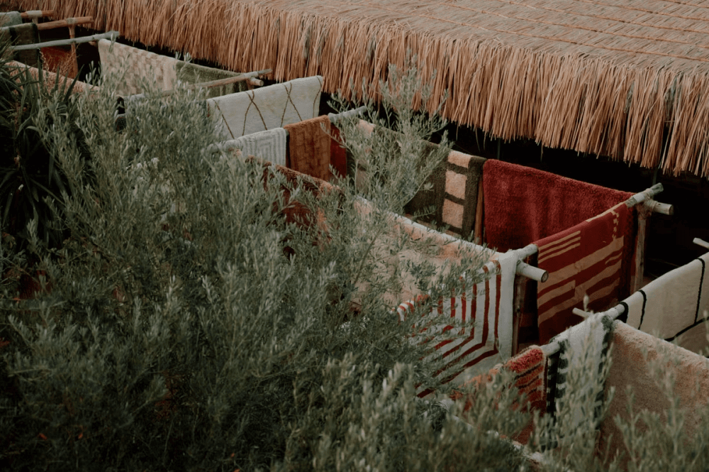 A Celebration of Heritage – Handwoven Moroccan Rugs by Beni