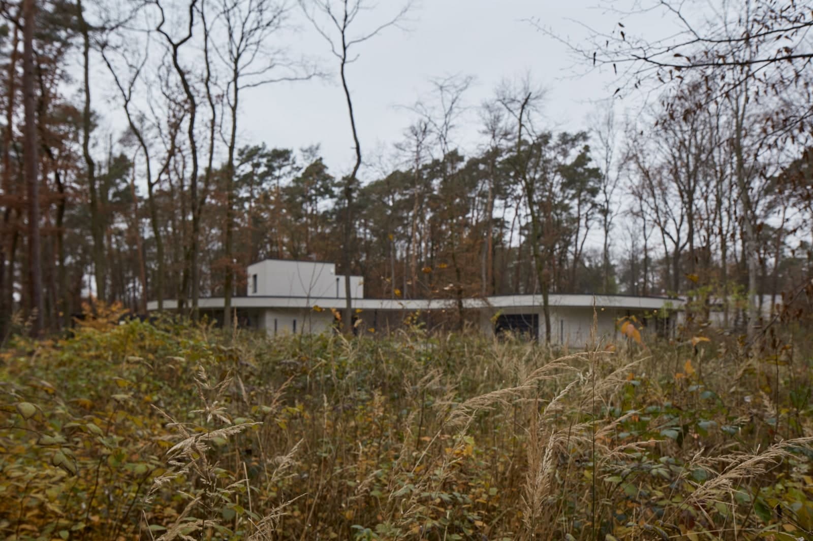Organic Simplicity – The Forest Villa by Mjölk Architects