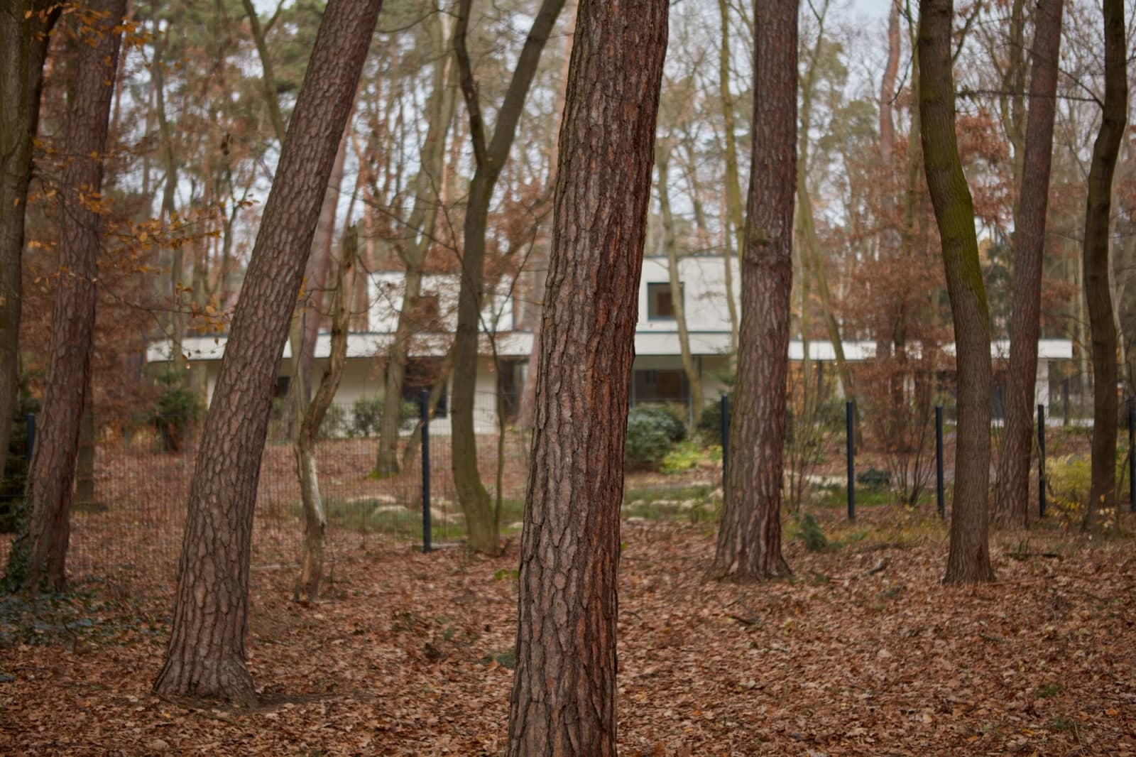 Forest Villa - foto: BoysPlayNice