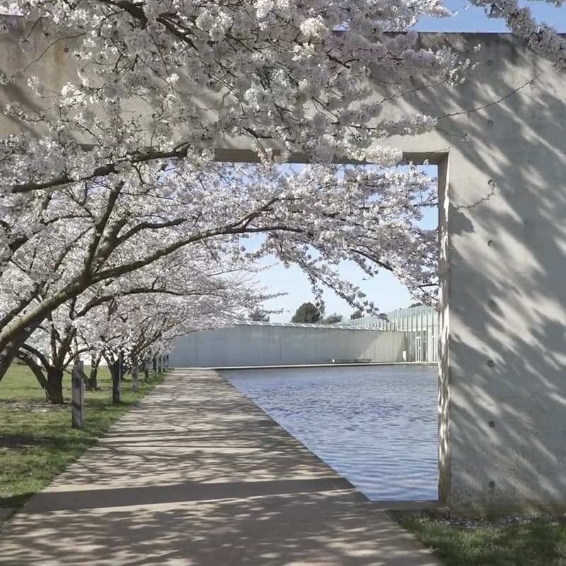 Tadao Ando References – A Short Film by Hans Georg Esch & Florian Yeh