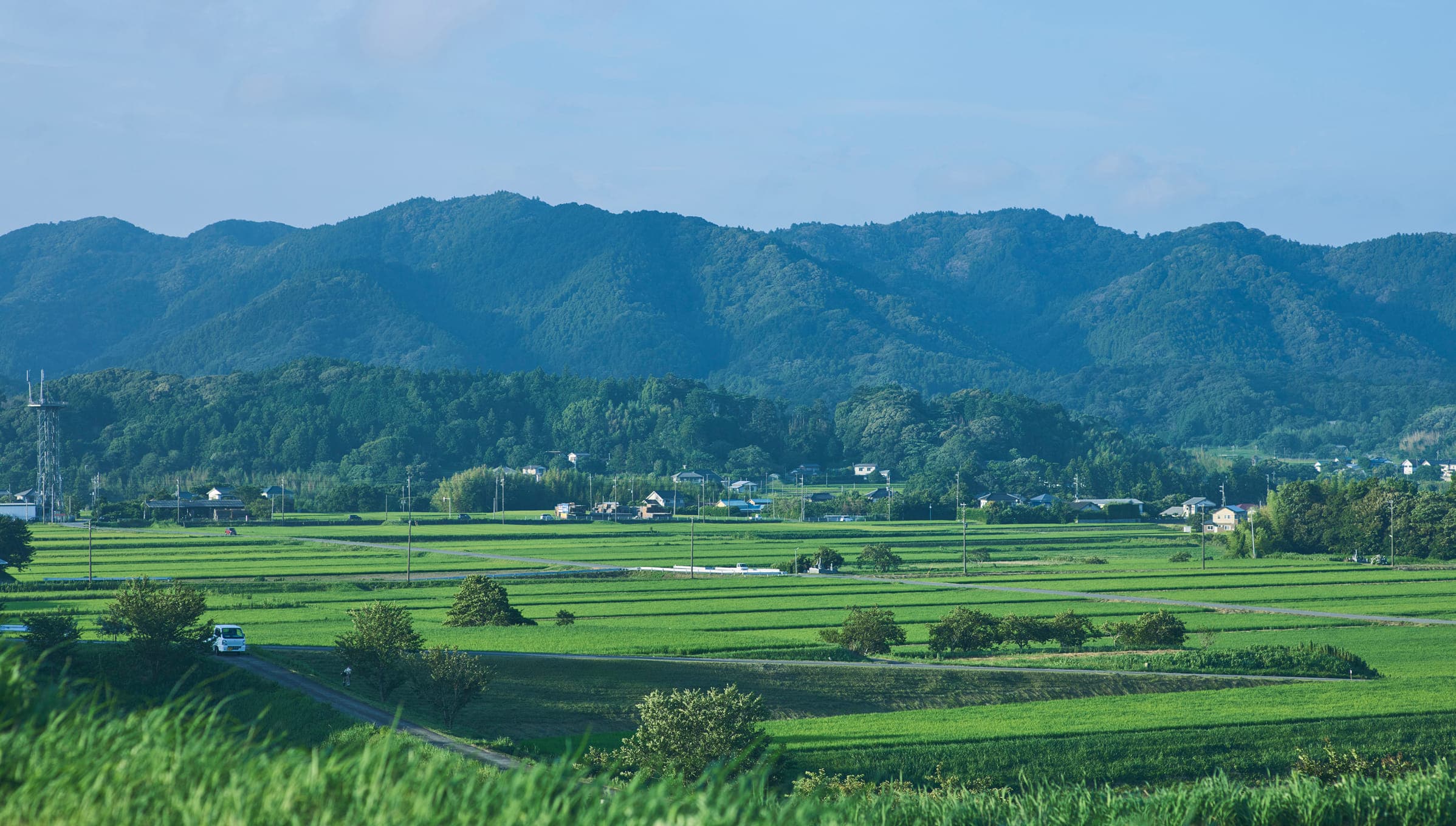 A Tranquil Haven – MUJI Base Kamogawa