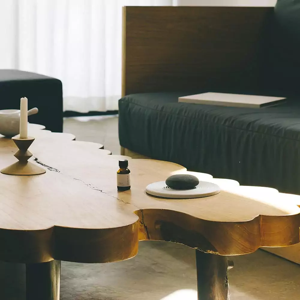 Experience Serenity – Elemense Collection by Nippon Kodo