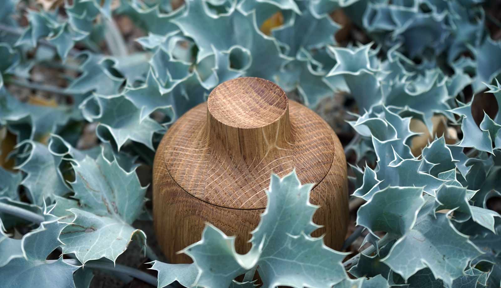 Oak Bloom container among foliage, Athanasios Babalis for Shibui (2019 design)
