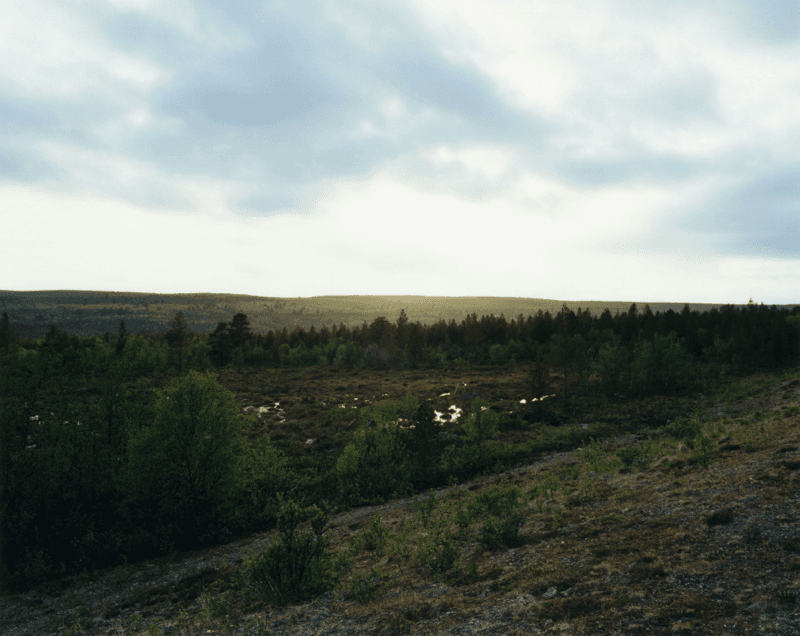 Inari #5 — SAMELAND; woodland and open terrain under a cloudy sky