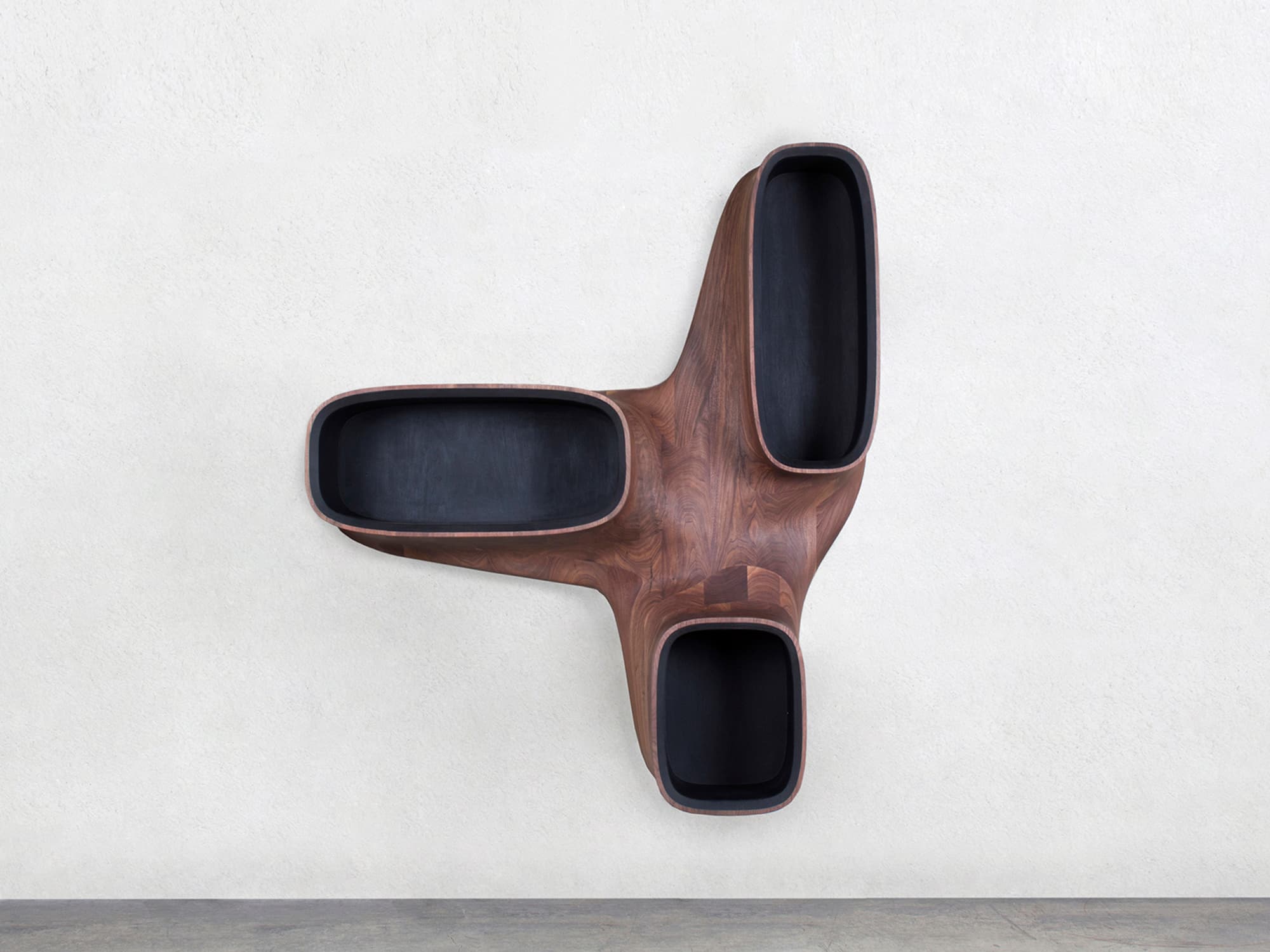 Suple Bounding Form: Manufactured Landscapes wall shelf, gt2P (2018)
