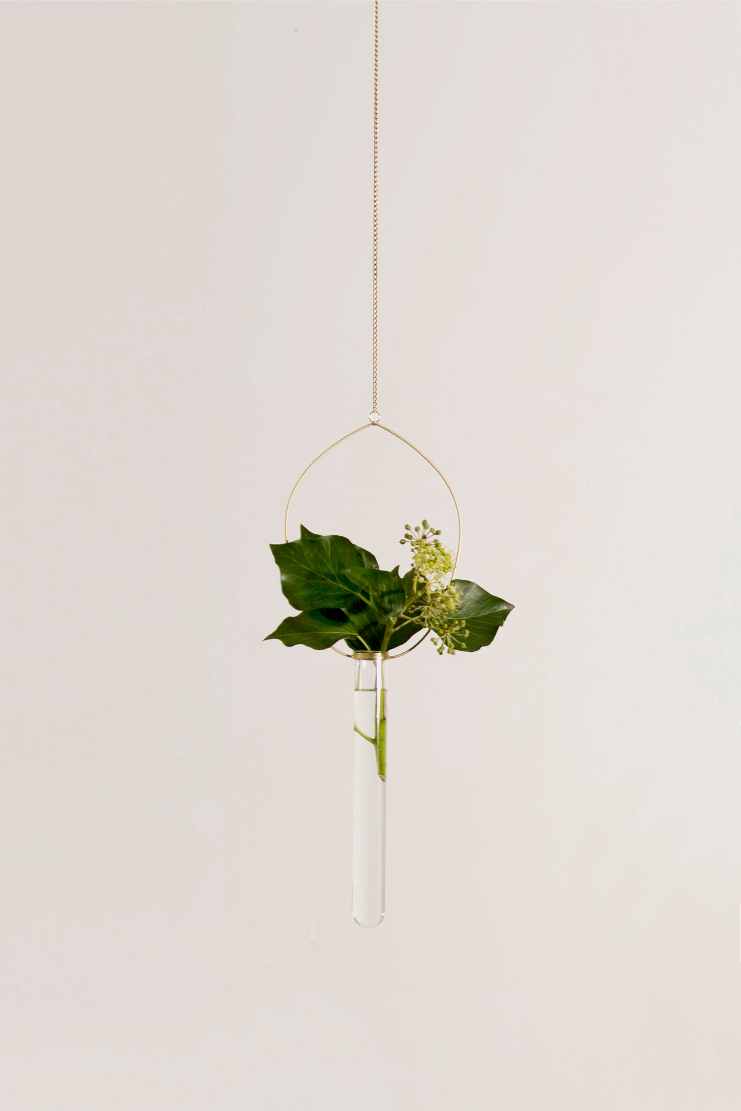 Eden (2016) — individual suspended glass-tube vase