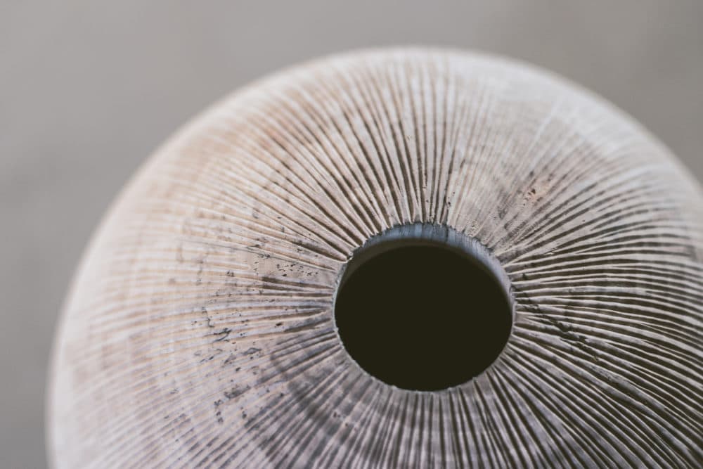 Close view of a wood vessel with radiating grooves around its dark circular opening.