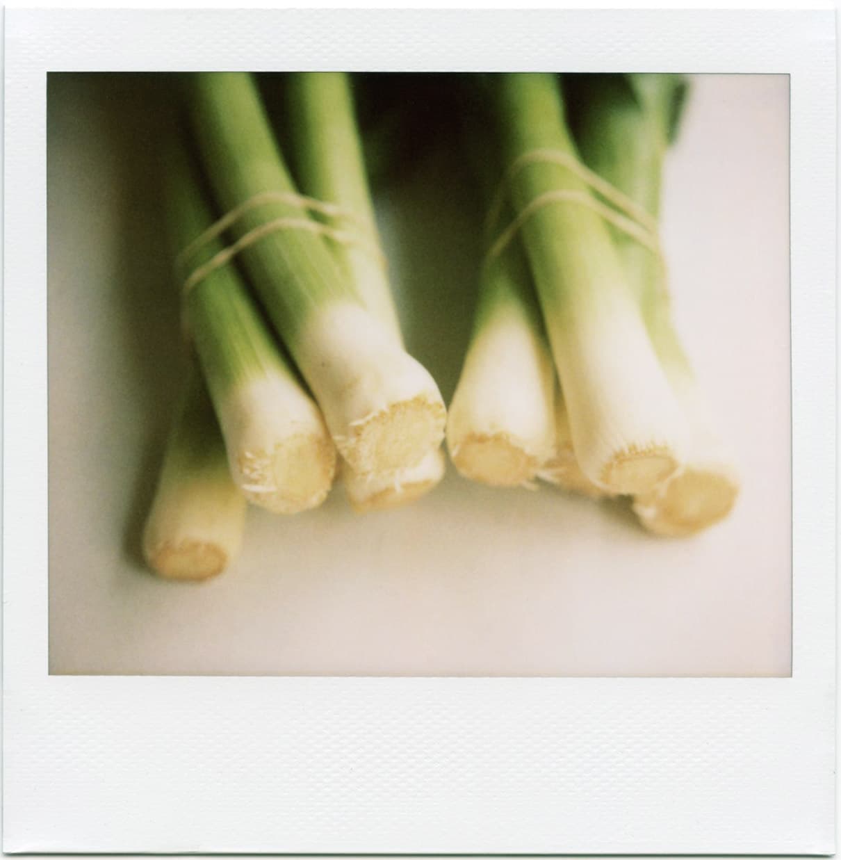 Molly Wizenberg: fresh leeks, September2010.