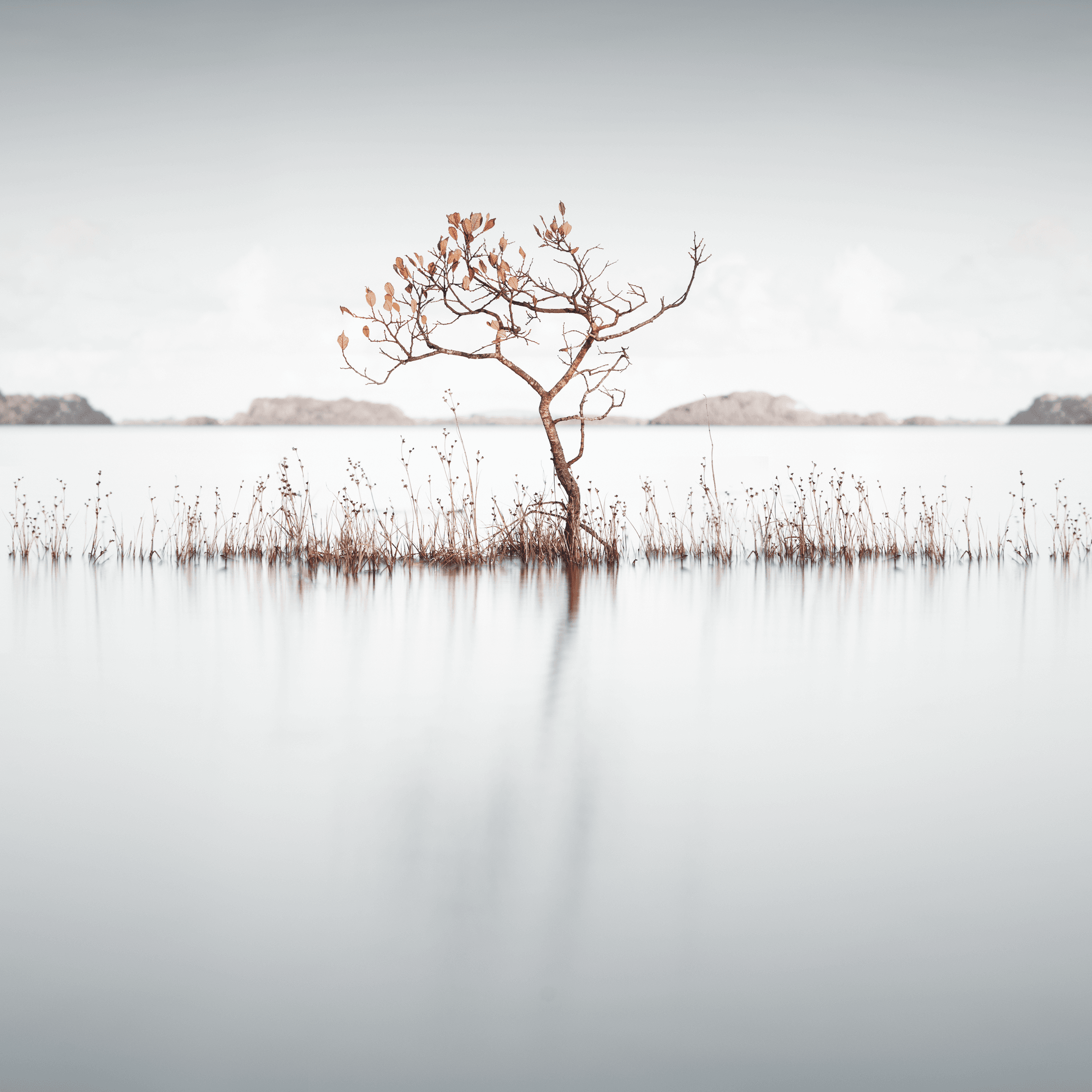 Spirit, Connemara, Ireland