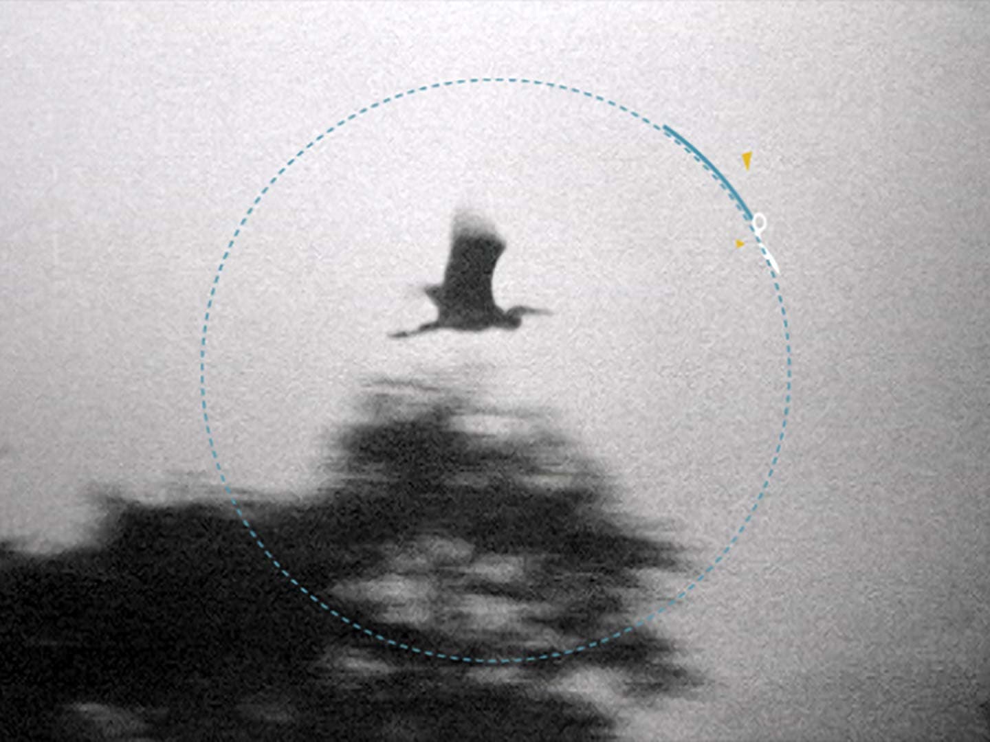 Impactist: The Magical Number Seven,2010, still04.