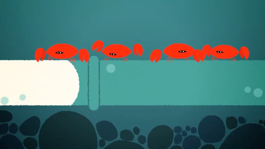 Four red illustrated crabs beside a large underwater pipe.