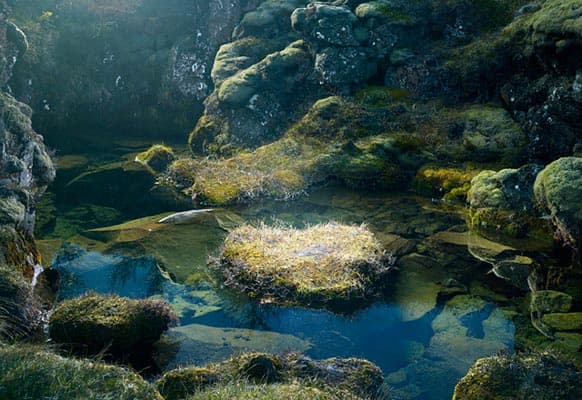 Clear blue-green water and submerged rocks in a moss-lined rocky pond in Iceland, photographed by Tim Simmons.