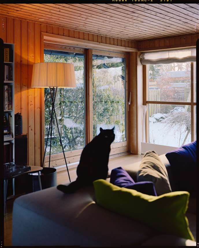 Interior with a cat, from Fresh Air at Home, Daylight & Architecture, Spring 2010