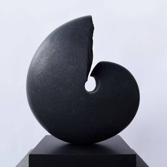 Seed (2015), Transmigration series, by Masaomi Raku