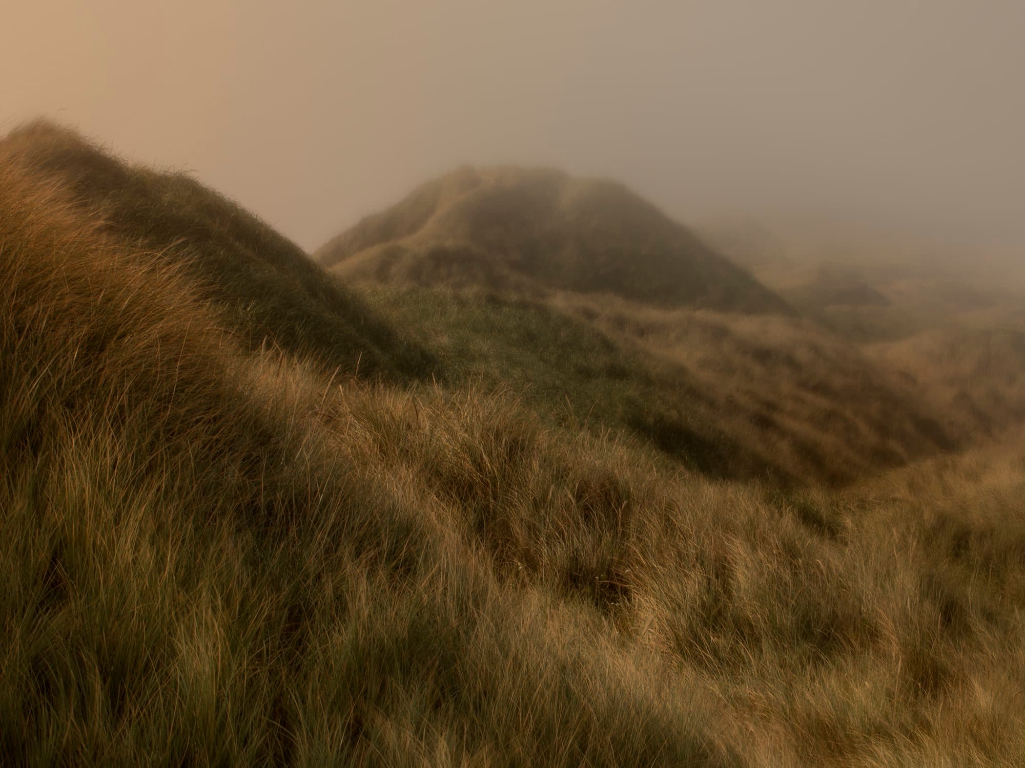 Grassy hillside in mist.