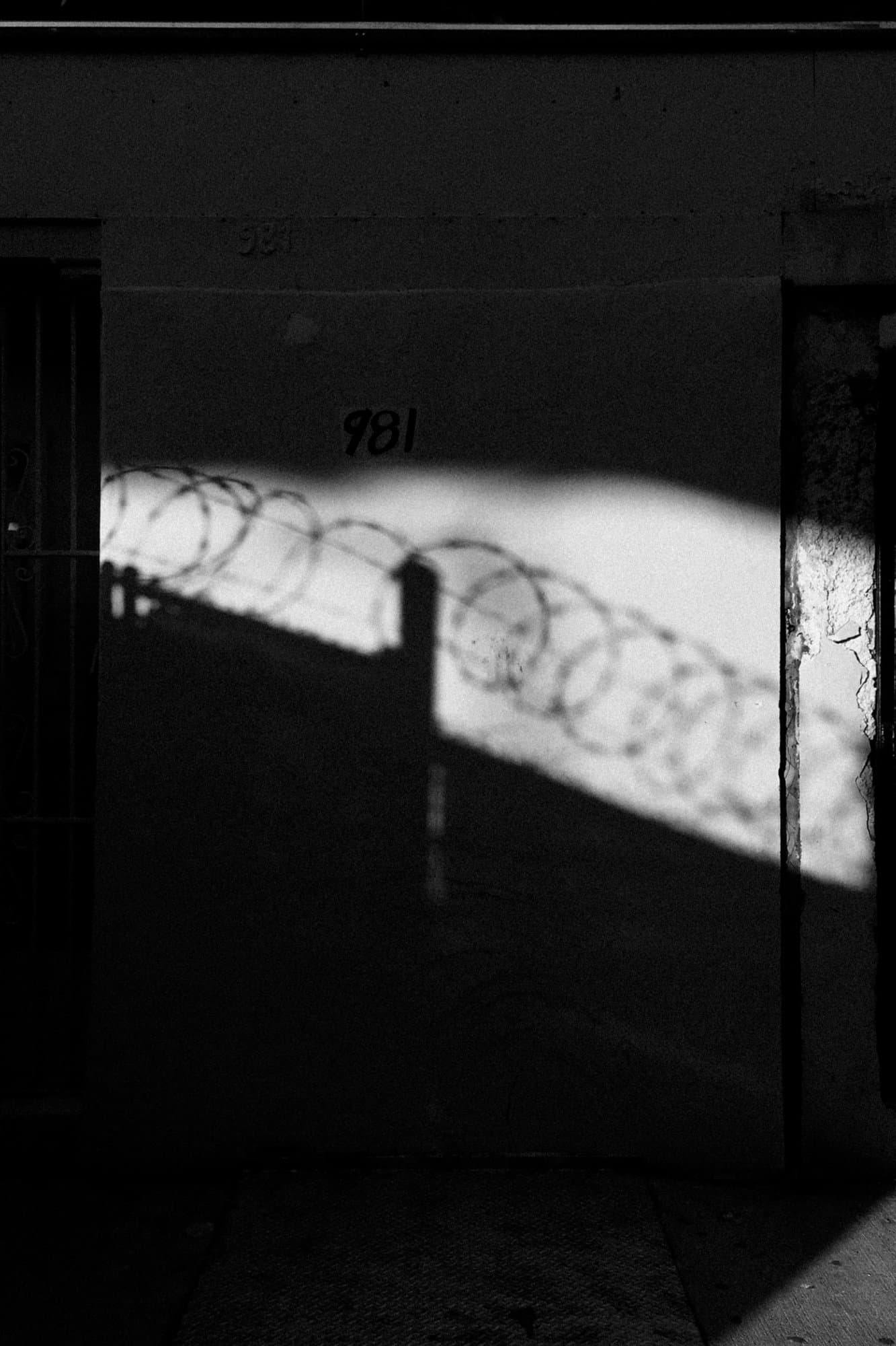 Sunlight and coiled-wire shadows on a building facade.