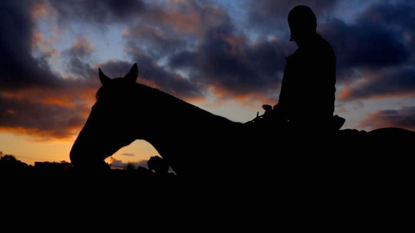 A Day at the Races: silhouetted rider and horse at dawn