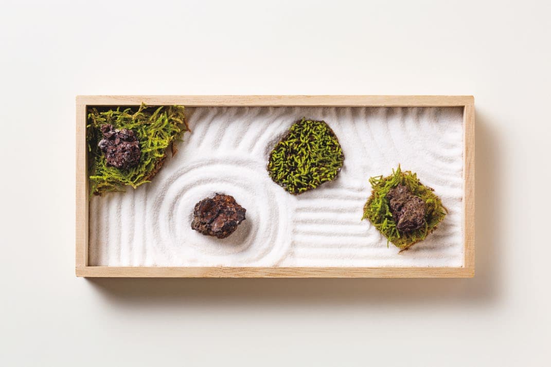FUJIGOKE Karesansui miniature dry-landscape garden kit