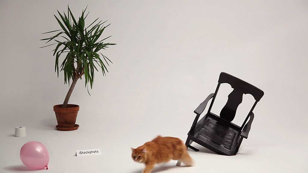 OFFF Paris 2010 Sponsors Titles: iStockphoto scene with cat, chair and balloon