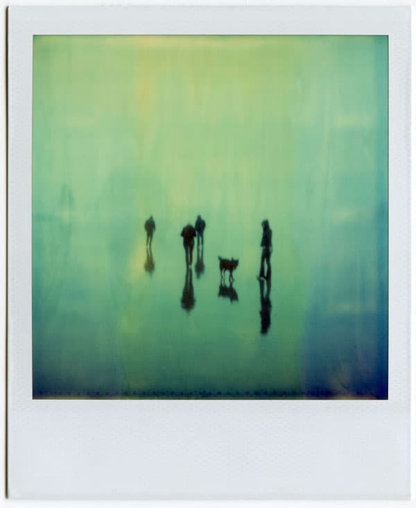 Shoot the Moon: distant figures reflected in water, 1999–2009 selection