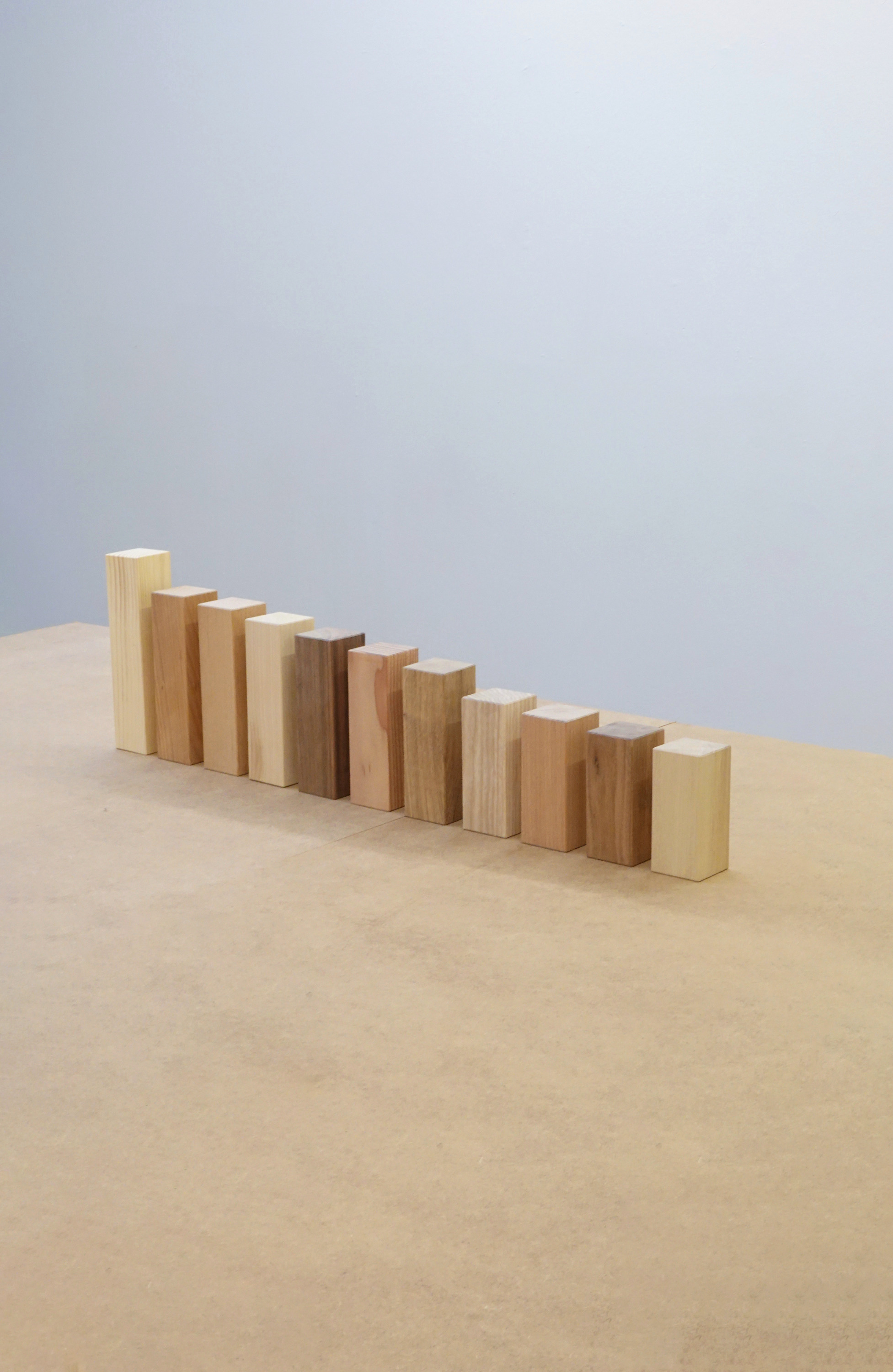 A sequence of timber samples from the Weight of Wood investigation.