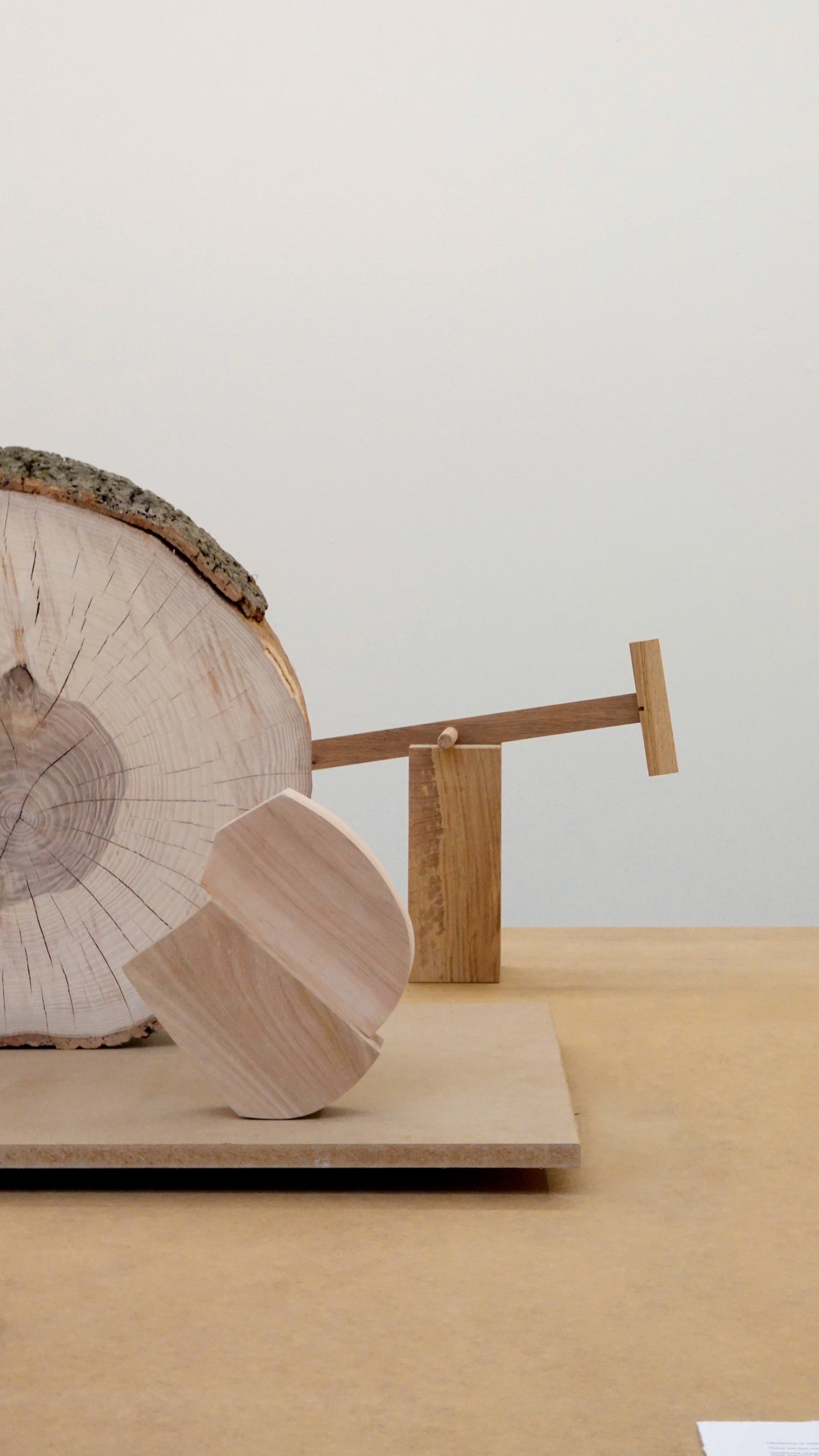 A cross-section of timber beside the objects and samples in the material study.