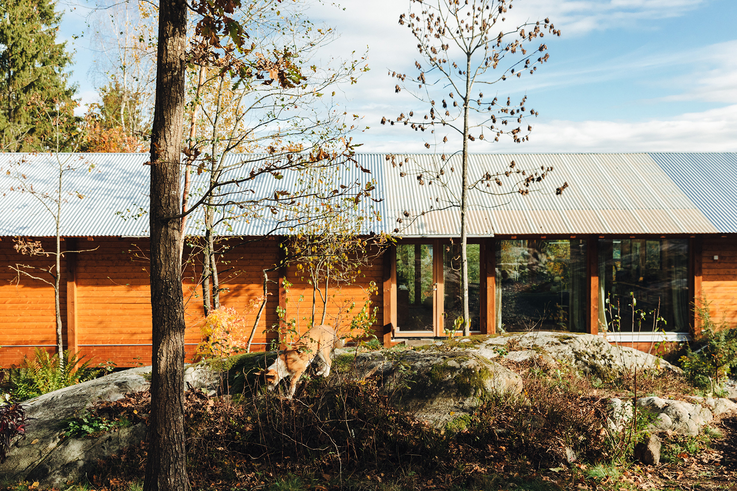 The long timber house seen across the rocks and trees.